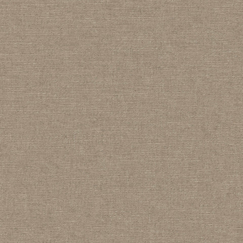 Warwick Cambridge Obscura