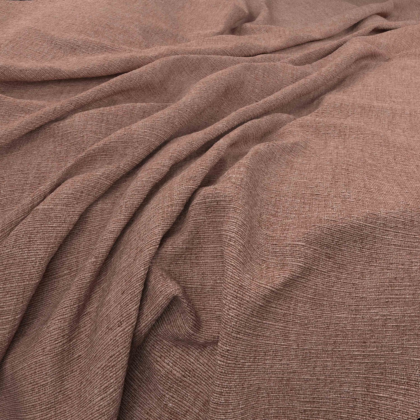 Warwick Cambridge Peony