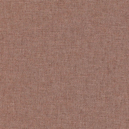 Warwick Cambridge Peony