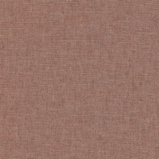 Warwick Cambridge Peony