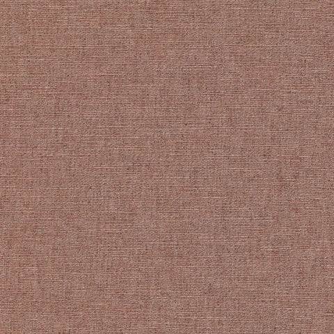 Warwick Cambridge Peony