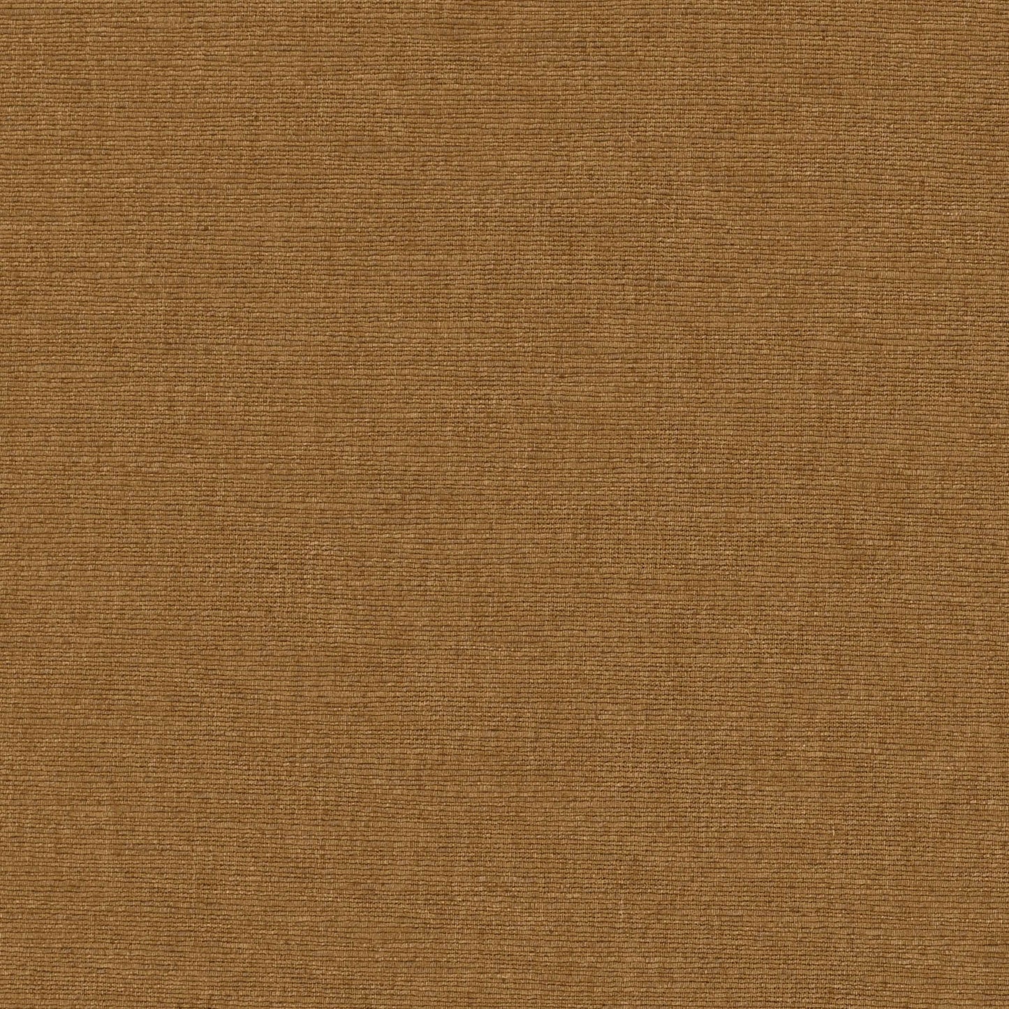 Warwick Cambridge Saffron