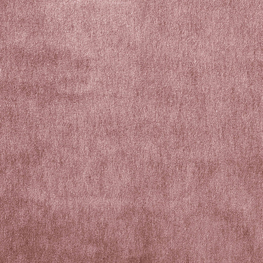 Warwick Cape-Mohair Rose