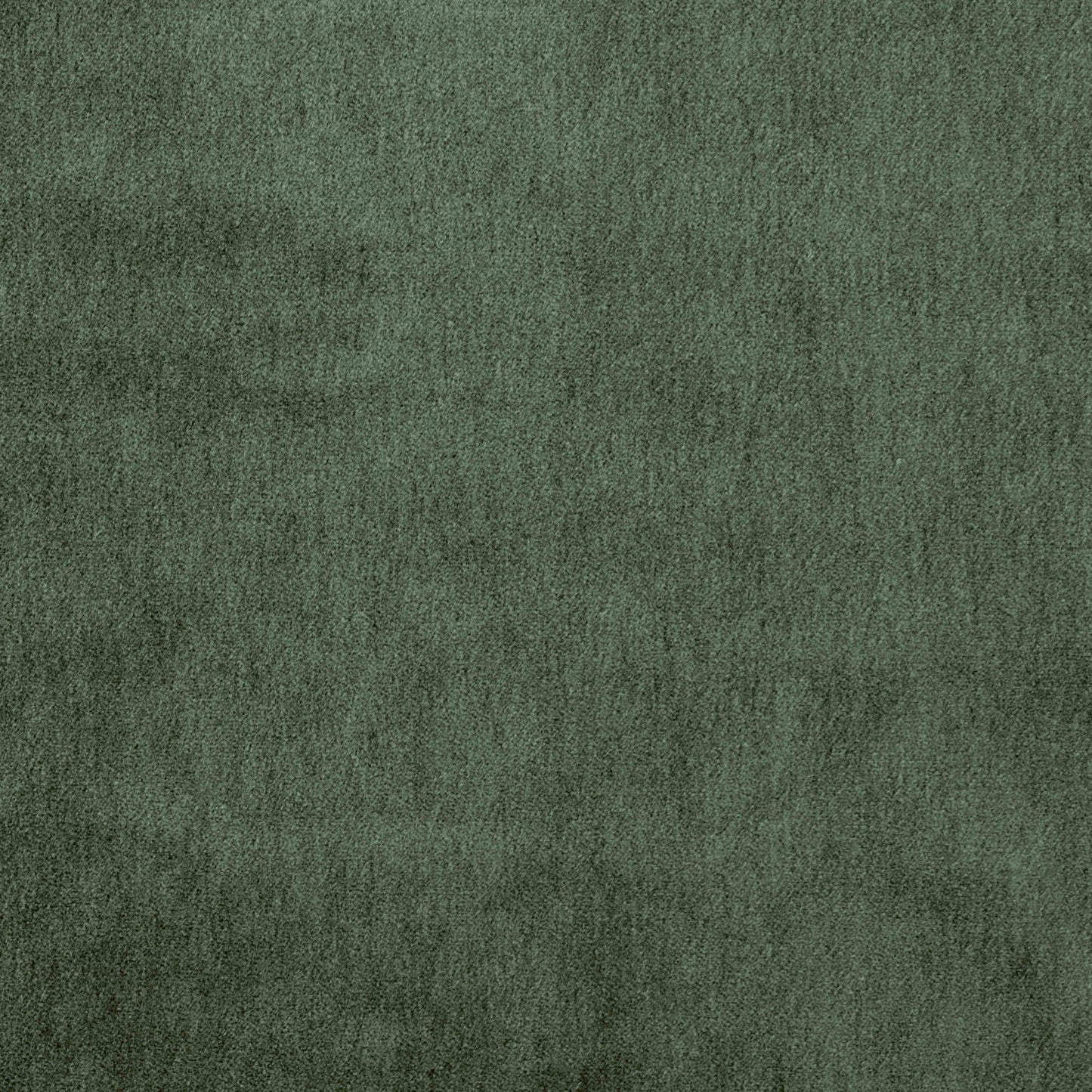 Warwick Cape-Mohair Thyme
