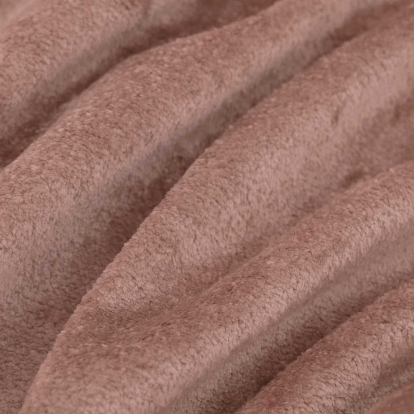 Warwick Cecconi Rose