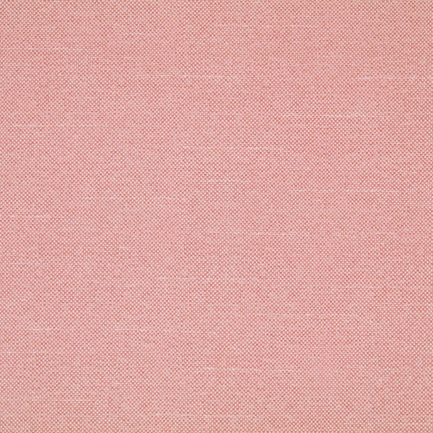 Warwick Checkers Candyfloss PVC