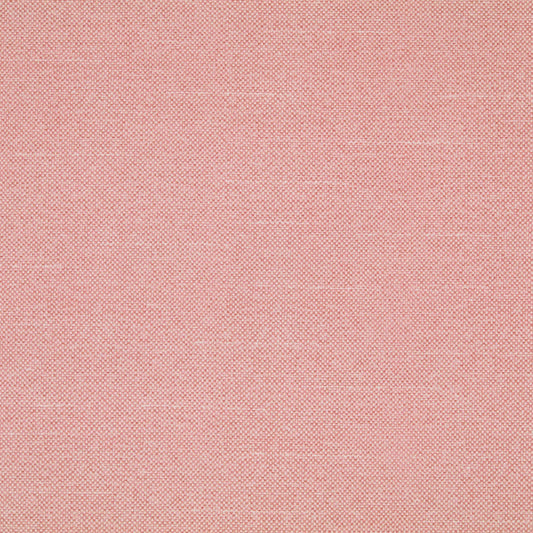 Warwick Checkers Candyfloss PVC