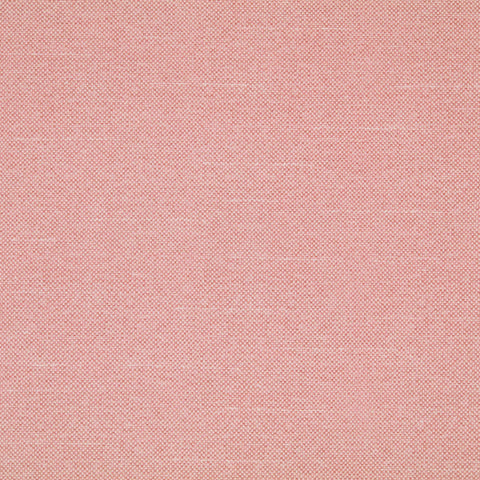 Warwick Checkers Candyfloss PVC