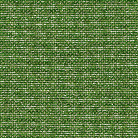 Linwood Jetty Emerald