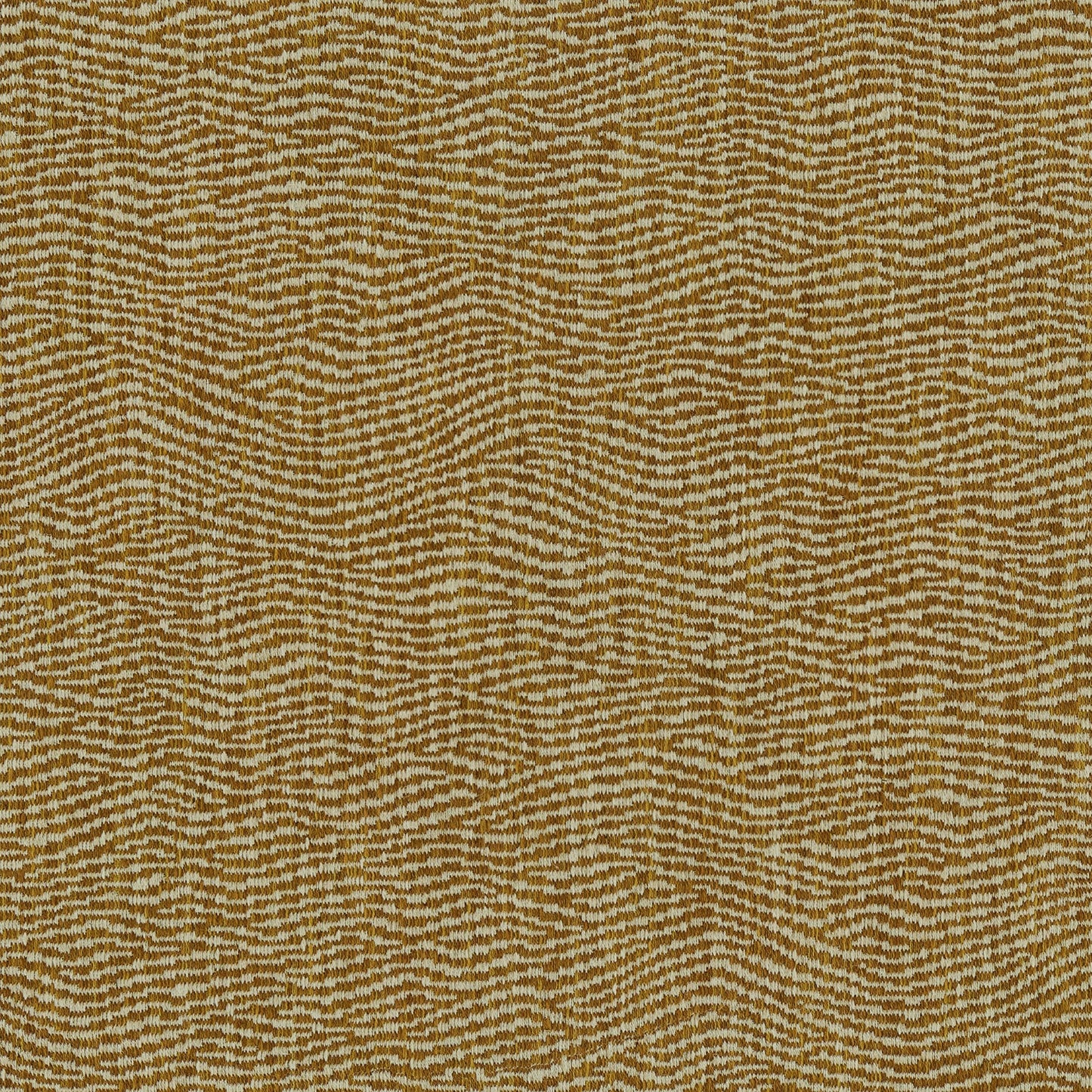 Linwood Tidal Apricot