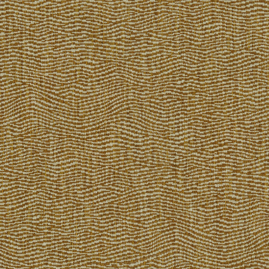 Linwood Tidal Apricot