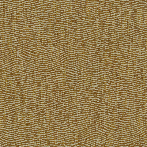 Linwood Tidal Apricot