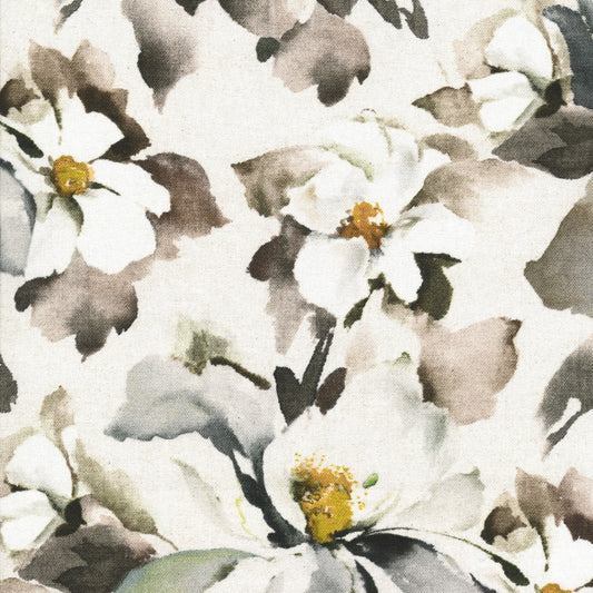 Hardys Clematis Ghost