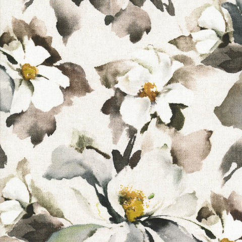 Hardys Clematis Ghost