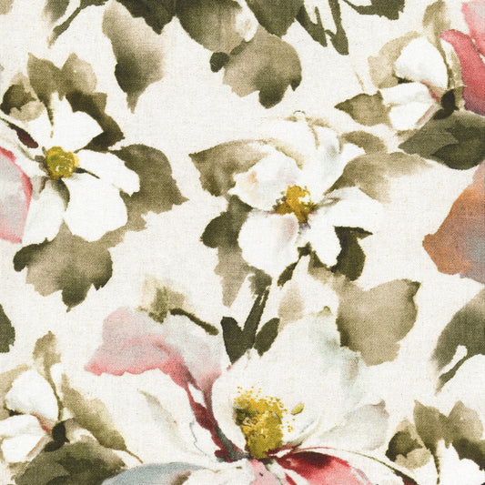 Hardys Clematis Berry