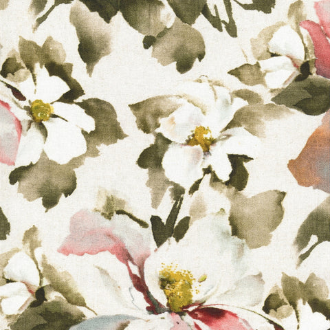 Hardys Clematis Berry