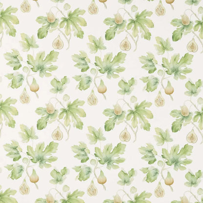 Sanderson Fig Harvest Garden Green