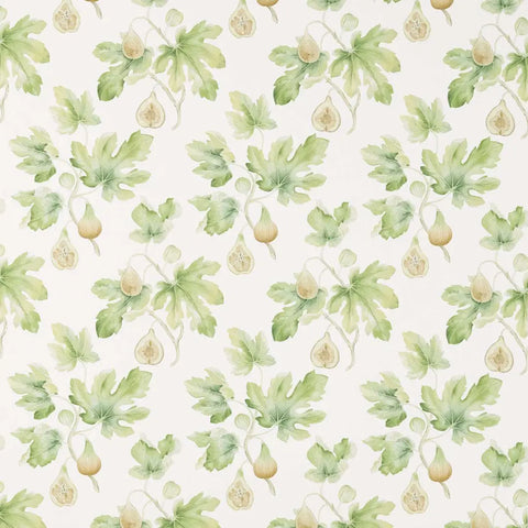 Sanderson Fig Harvest Garden Green