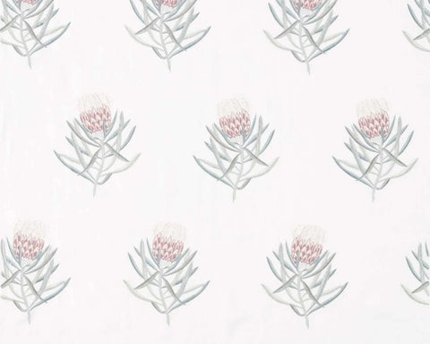 Sanderson Protea Flower Porcelain/Orchid