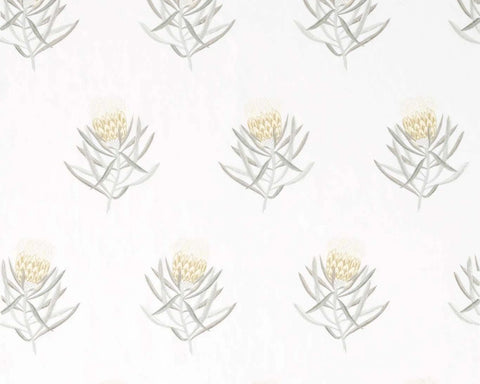 Sanderson Protea Flower Daffodil/Natural