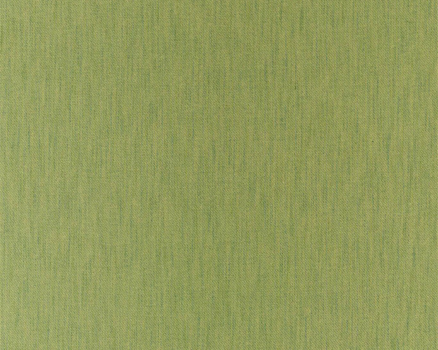 Sanderson Darter Nettle