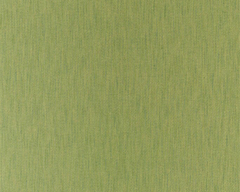 Sanderson Darter Nettle