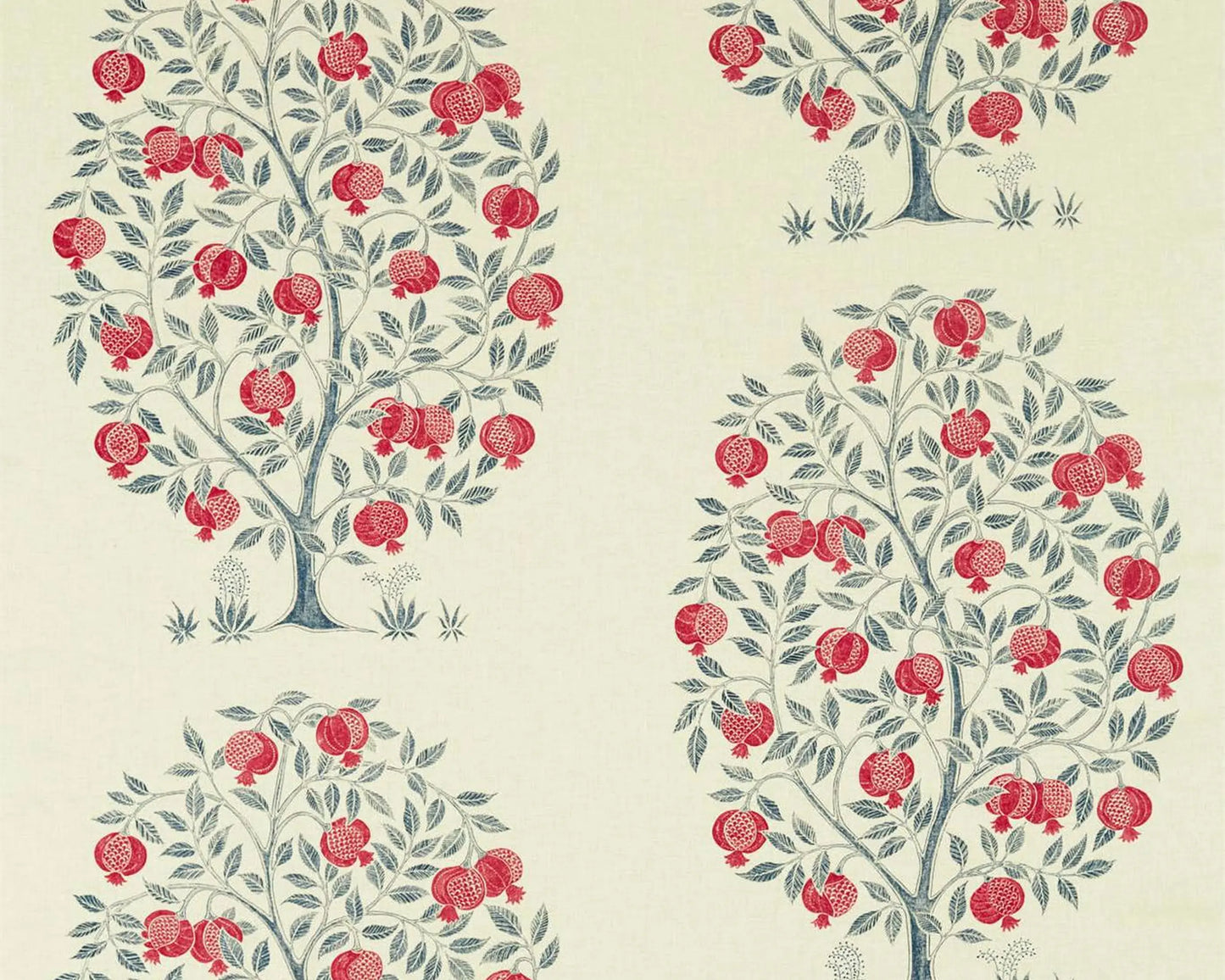 Sanderson Anaar Tree Blueberry