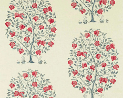 Sanderson Anaar Tree Blueberry