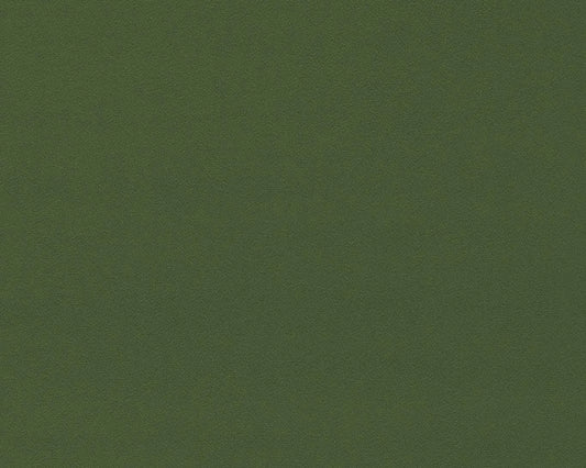 Sanderson Dorton Cactus