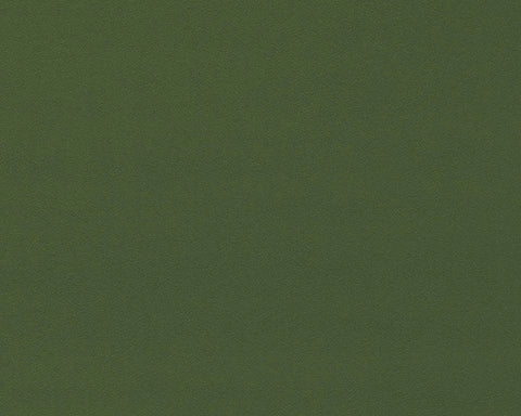 Sanderson Dorton Cactus