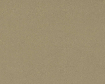 Sanderson Dorton Oatmeal