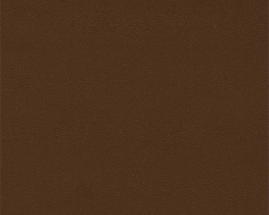 Sanderson Dorton Cocoa