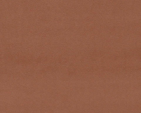 Sanderson Dorton Auburn