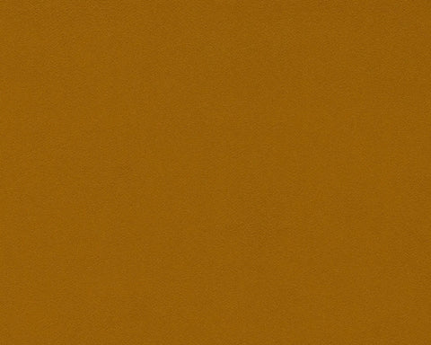 Sanderson Dorton Mango