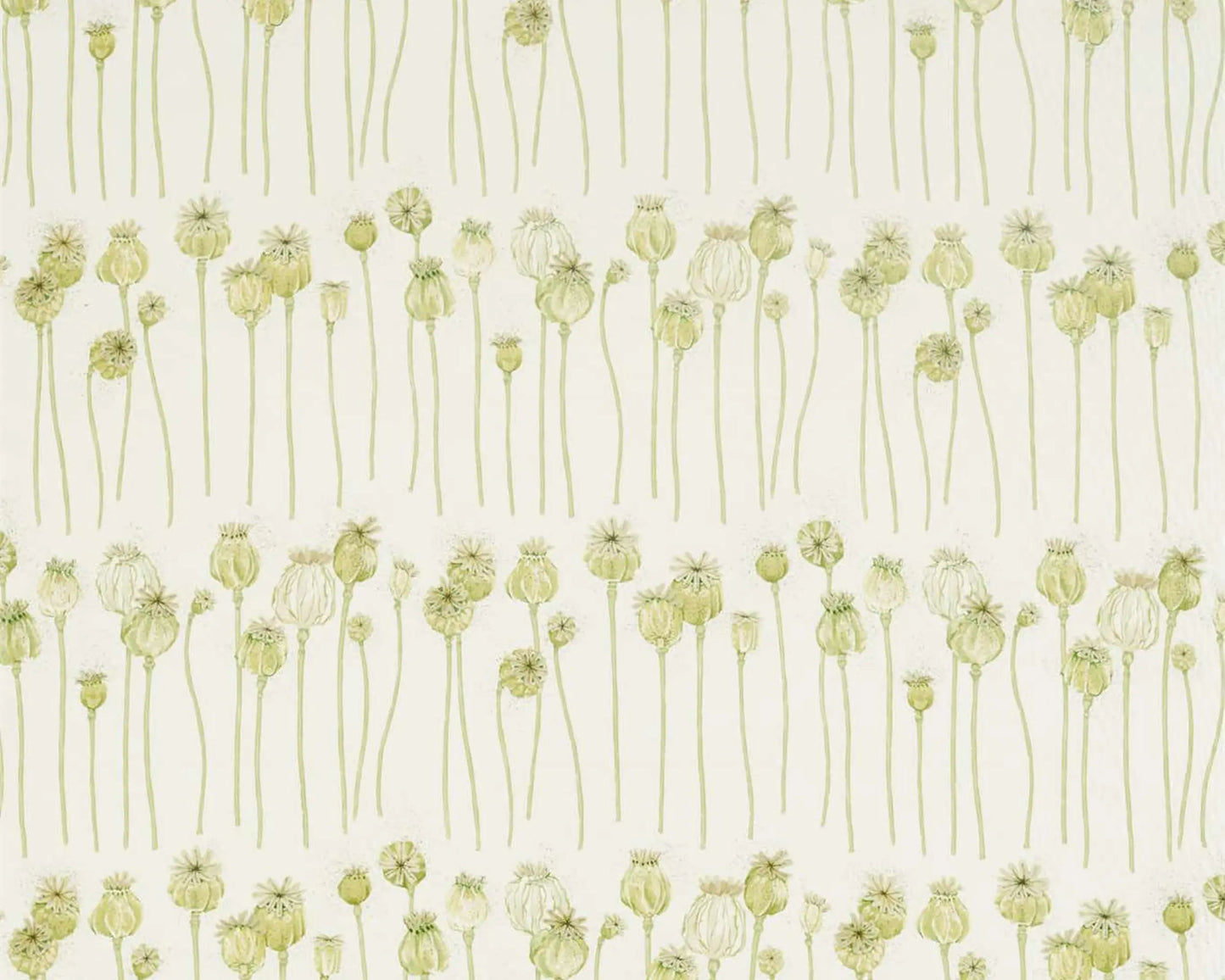 Sanderson Poppy Pods Olive/Almond