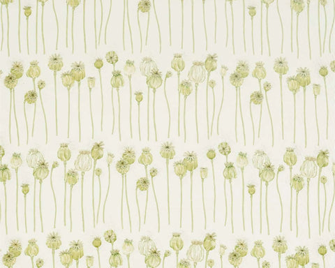 Sanderson Poppy Pods Olive/Almond