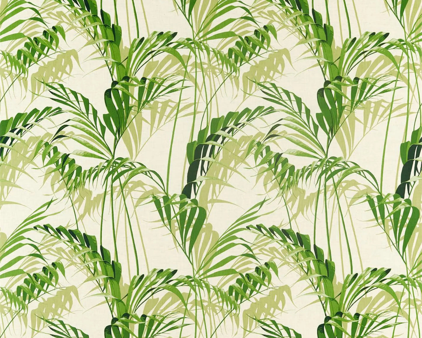 Sanderson Palm House Botanical Green