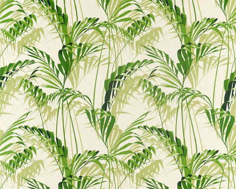 Sanderson Palm House Botanical Green