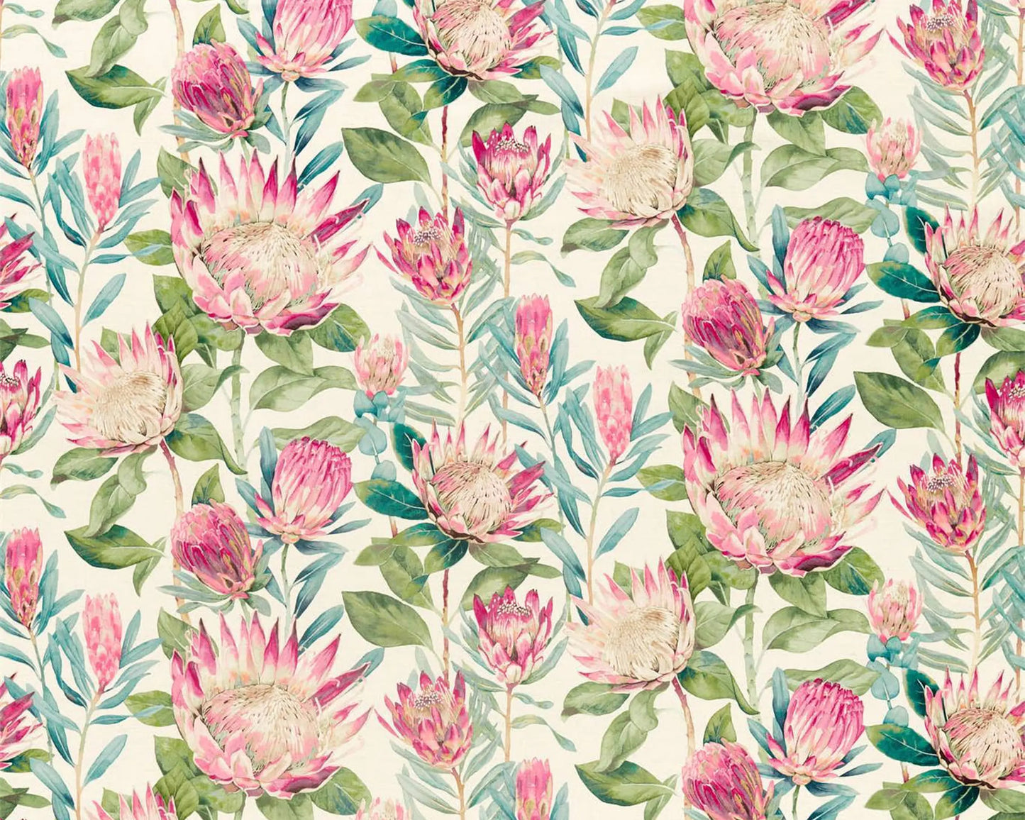 Sanderson King Protea Rhodera