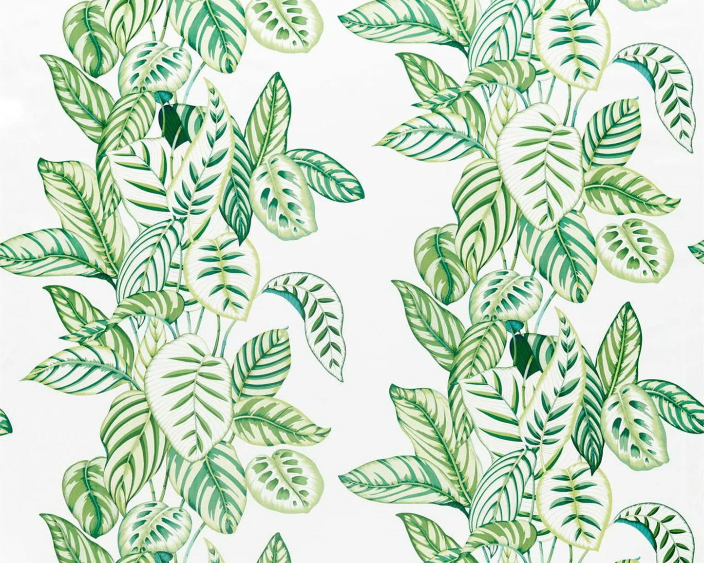 Sanderson Calathea Botanical Green