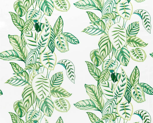 Sanderson Calathea Botanical Green