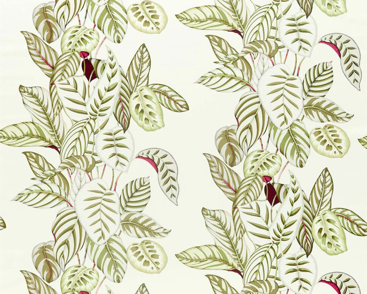 Sanderson Calathea Botanical Olive