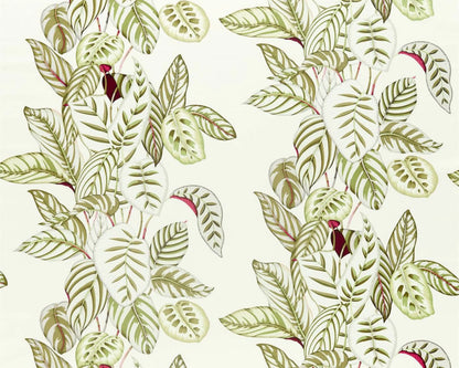 Sanderson Calathea Botanical Olive