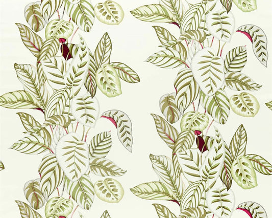 Sanderson Calathea Botanical Olive