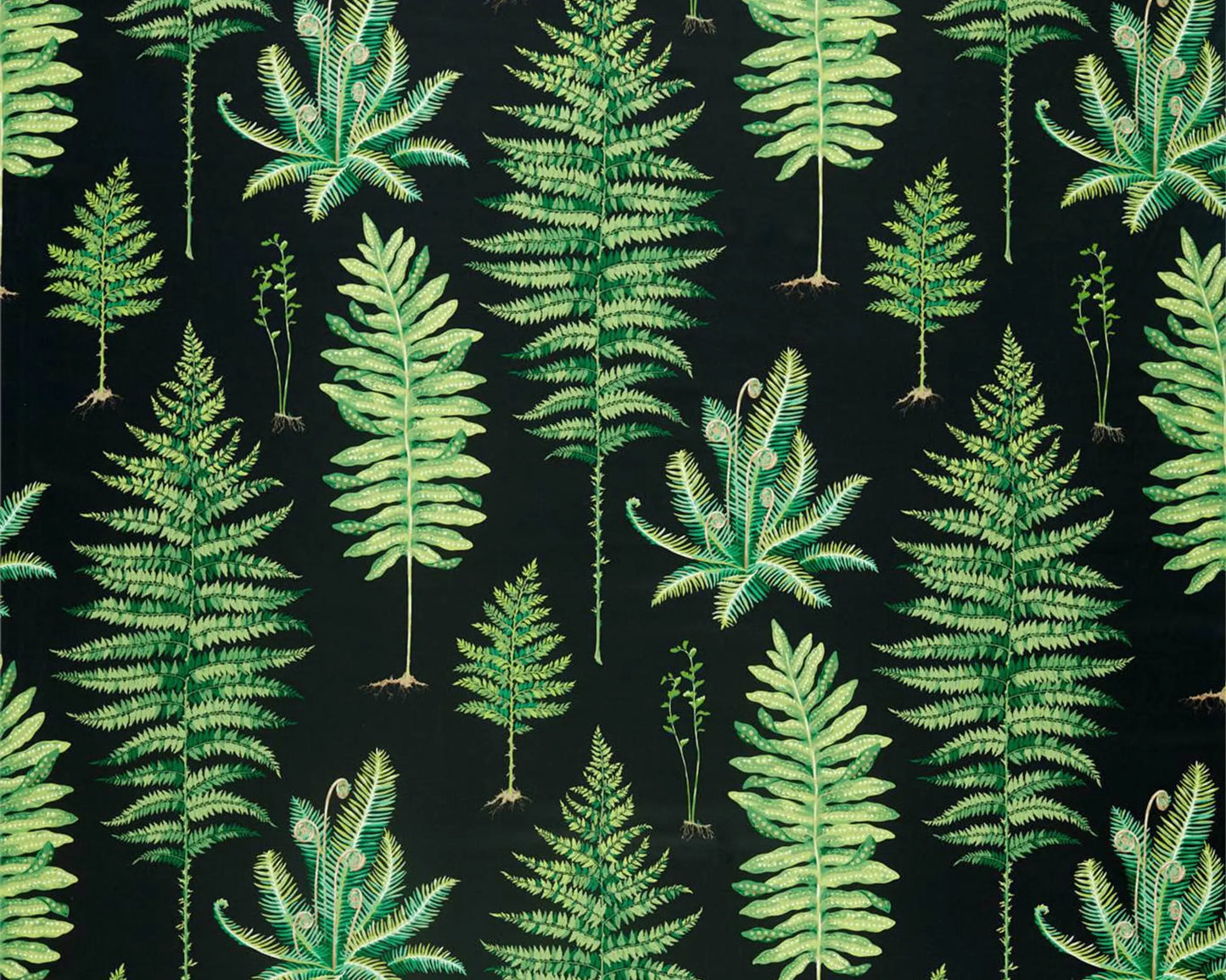 Sanderson Fernery Botanical Green/Charcoal