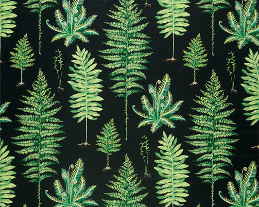 Sanderson Fernery Botanical Green/Charcoal