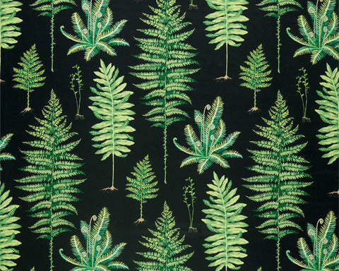 Sanderson Fernery Botanical Green/Charcoal
