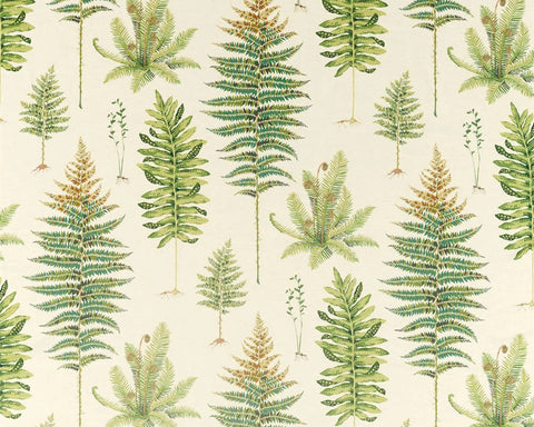 Sanderson Fernery Olive