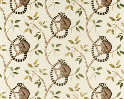 Sanderson Ringtailed Lemur Olive