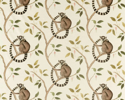 Sanderson Ringtailed Lemur Olive
